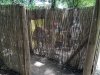 IMG_0931