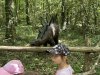 IMG_0913